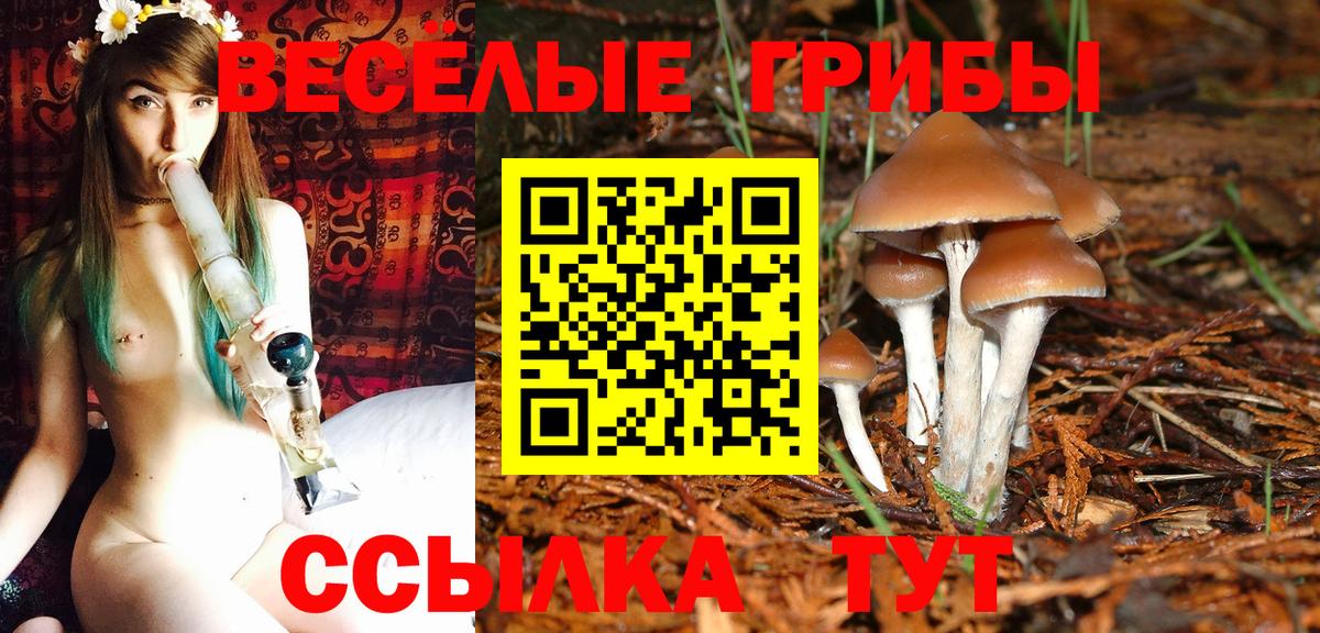 Первоуральск  Псилоцибиновые грибы MAGIC MUSHROOMS  Вход с VPN  Псилоцибиновые грибы Cubensis 